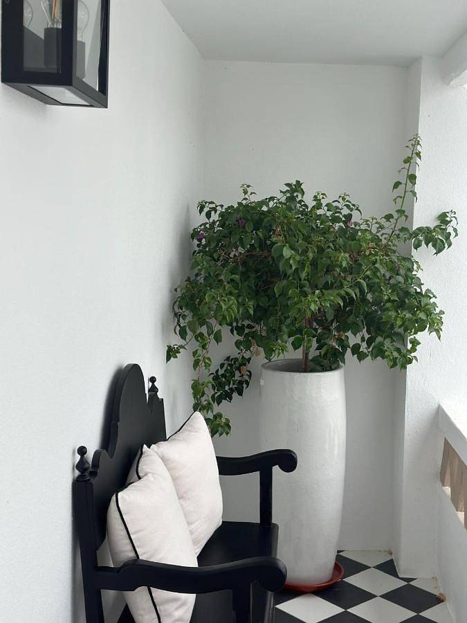 Location de vacances pour 2 personnes, avec Terrasse et Vue dans Nisa - 4