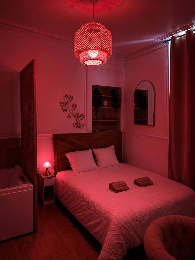 Appartement entier, La Suite Bohème in Poitiers, Vienne (France)