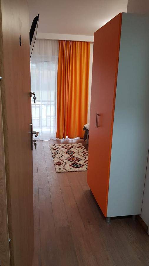 Gîte pour 2 personnes, avec terrasse et vue, animaux acceptés dans Mureș - 2