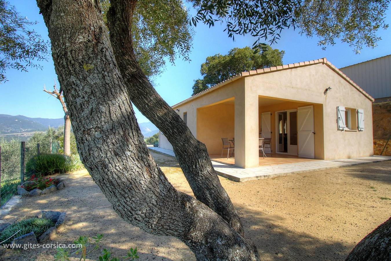 L'oliveraie 1 in Sollacaro, Sartène und Umgebung