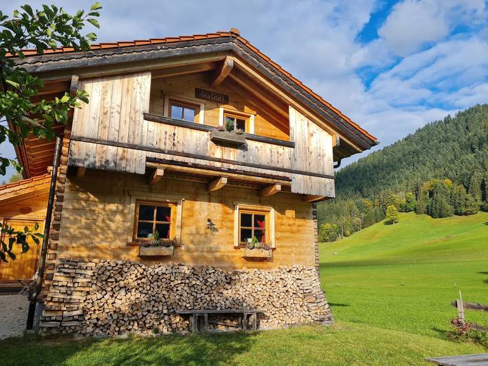 Ferienhaus für 6 Personen, mit Sauna und Garten in Dachstein Salzkammergut - 4