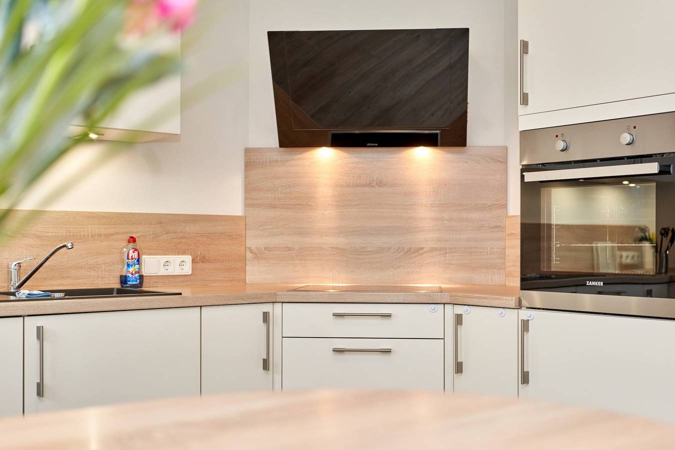 Deichläufer in Ockholm, Nordseeküste