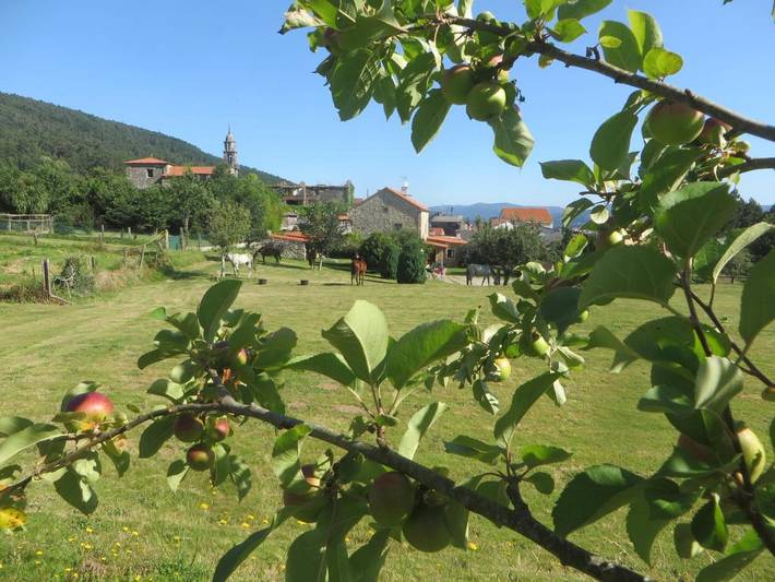 Maison de campagne pour 2 personnes, avec jardin ainsi que vue et terrasse à Noia - 2