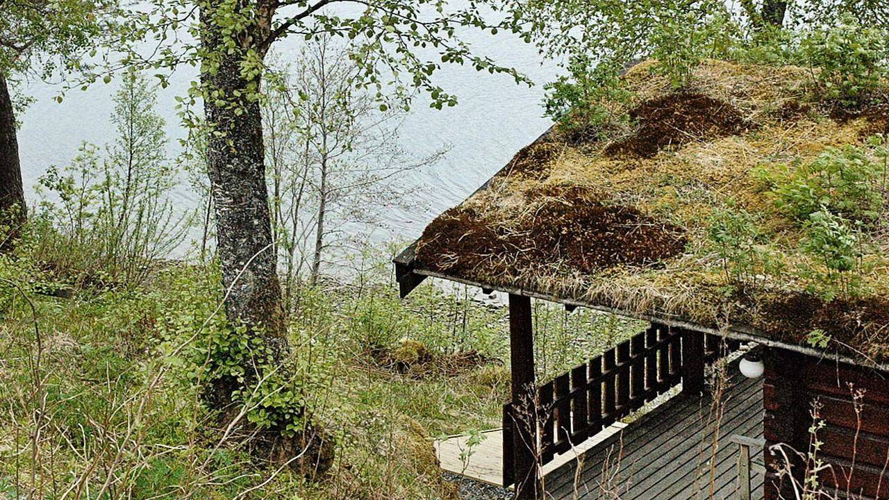 Ferienhaus für 4 Personen (44 m²) in Surnadalsøra in Surnadal, Nördliches Fjordnorwegen