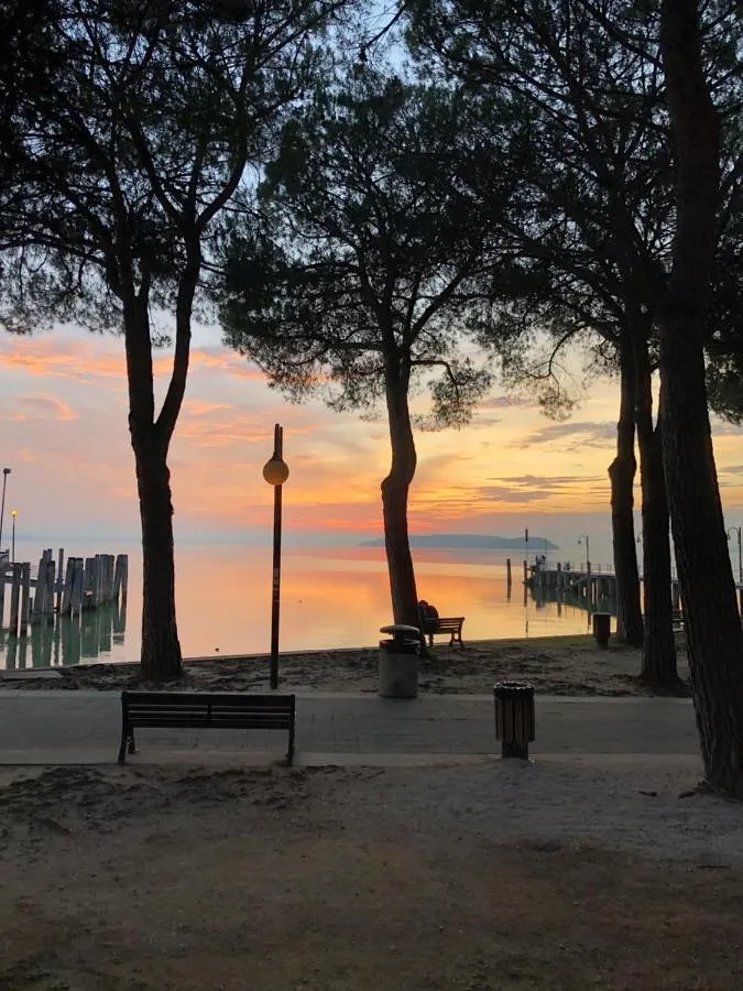 Appartamento vacanze per 4 persone, con vista lago e terrazza nonché panorama, con animali domestici - 1