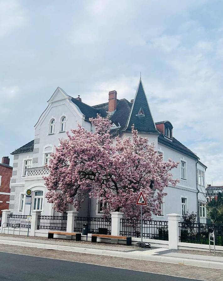 Ferienwohnung für 5 Personen, mit Terrasse und Garten sowie Ausblick in Torgau - 2