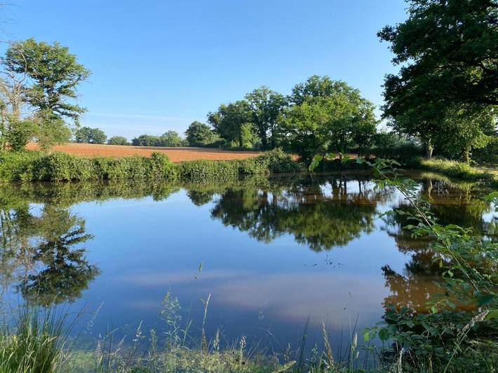 Gîte pour 4 personnes, avec vue ainsi que piscine et terrasse, animaux acceptés à Saint-Désiré - 4