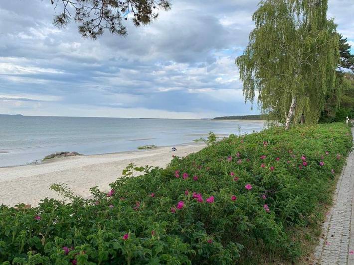 Ferienwohnung für 4 Personen, mit Balkon, kinderfreundlich in Lubmin - 4