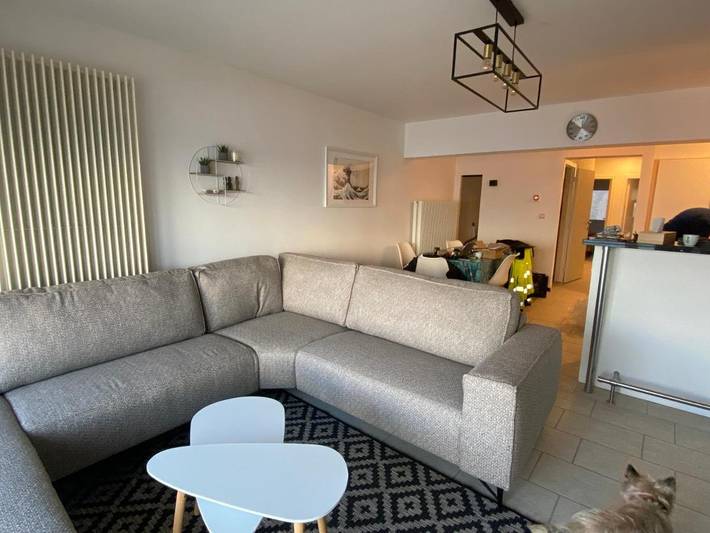 Gîte pour 6 personnes, avec vue et terrasse, animaux acceptés dans Saint-Idesbald - 4