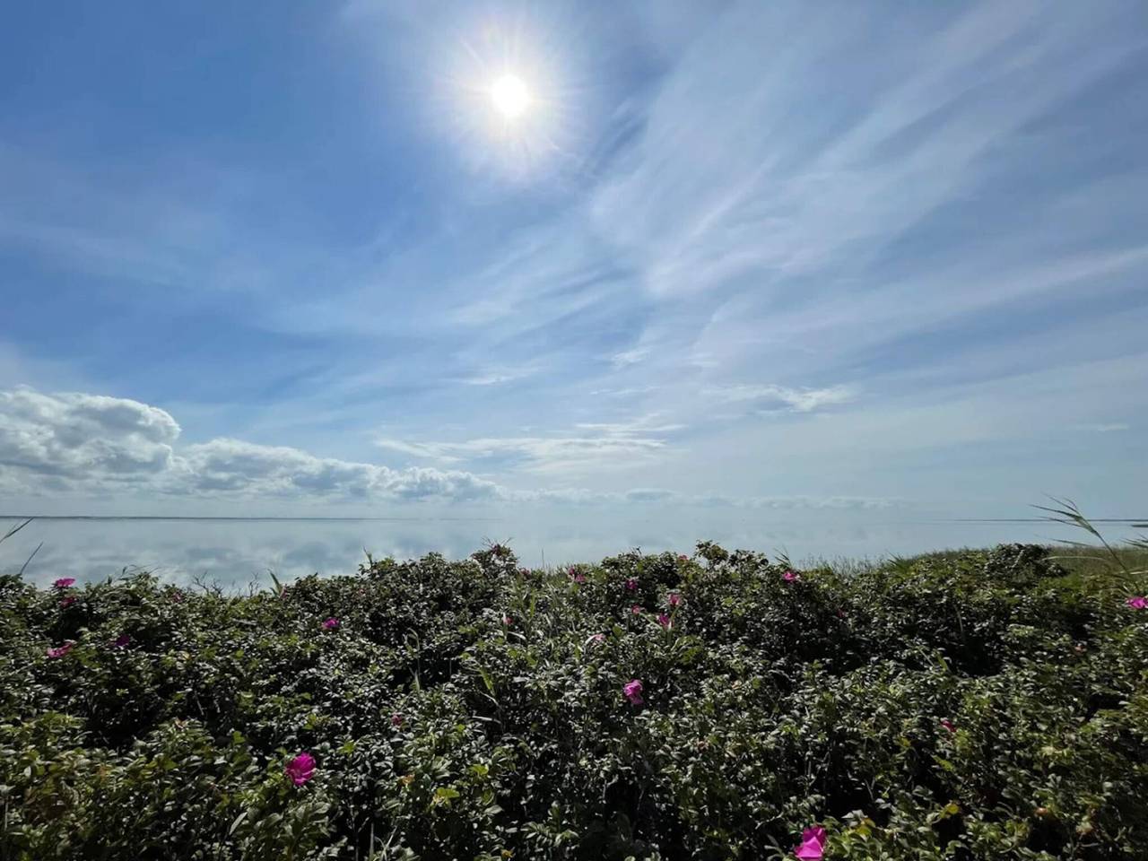 3 Personen Ferienhaus in Ringkøbing in Søndervig, Holmsland Klit
