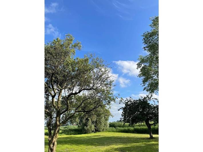 Ferienhaus für 8 Personen, mit Terrasse und Garten sowie Sauna in Hohenkirchen (Wangerland) - 4