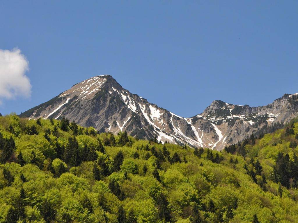 Ganze Ferienwohnung, Ferienwohnung Andrea - Ferienwohnung Andrea -3 Pers, 62qm, 1 Schlafzimmer, Erker, Kachelofen, Balkon in Schleching, Bayerische Alpen