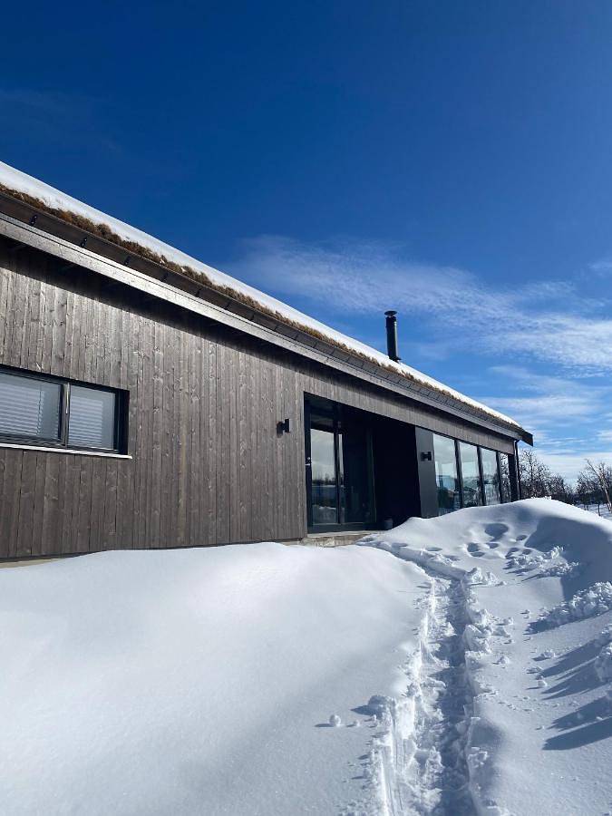 Spacious modern family chalet in Solhovda close to hiking, skiing & nature in Geilo, Hol