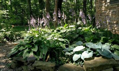 Lake House for 2 Guests in Pennsylvania, USA, Picture 4