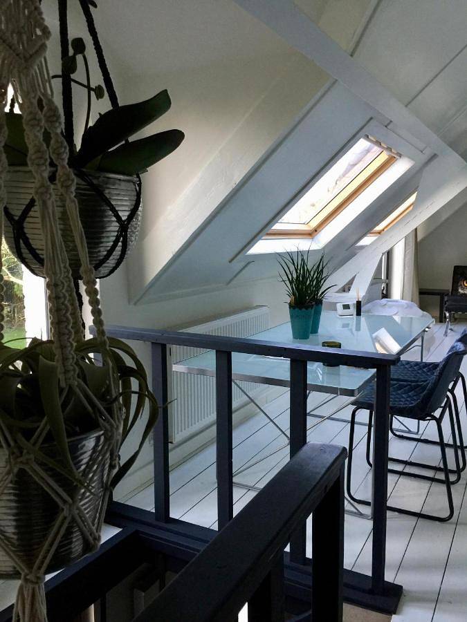Gîte pour 4 personnes, avec piscine et jardin à Brasschaat - 4