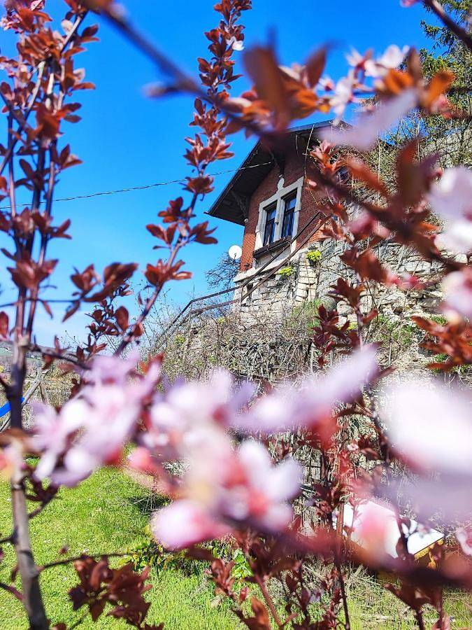 Ferienhaus für 6 Personen, mit Terrasse und Ausblick sowie Sauna in Freyburg (Unstrut)