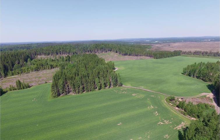 Ferienhaus für 5 Personen, mit Terrasse und Garten in Värmland - 4