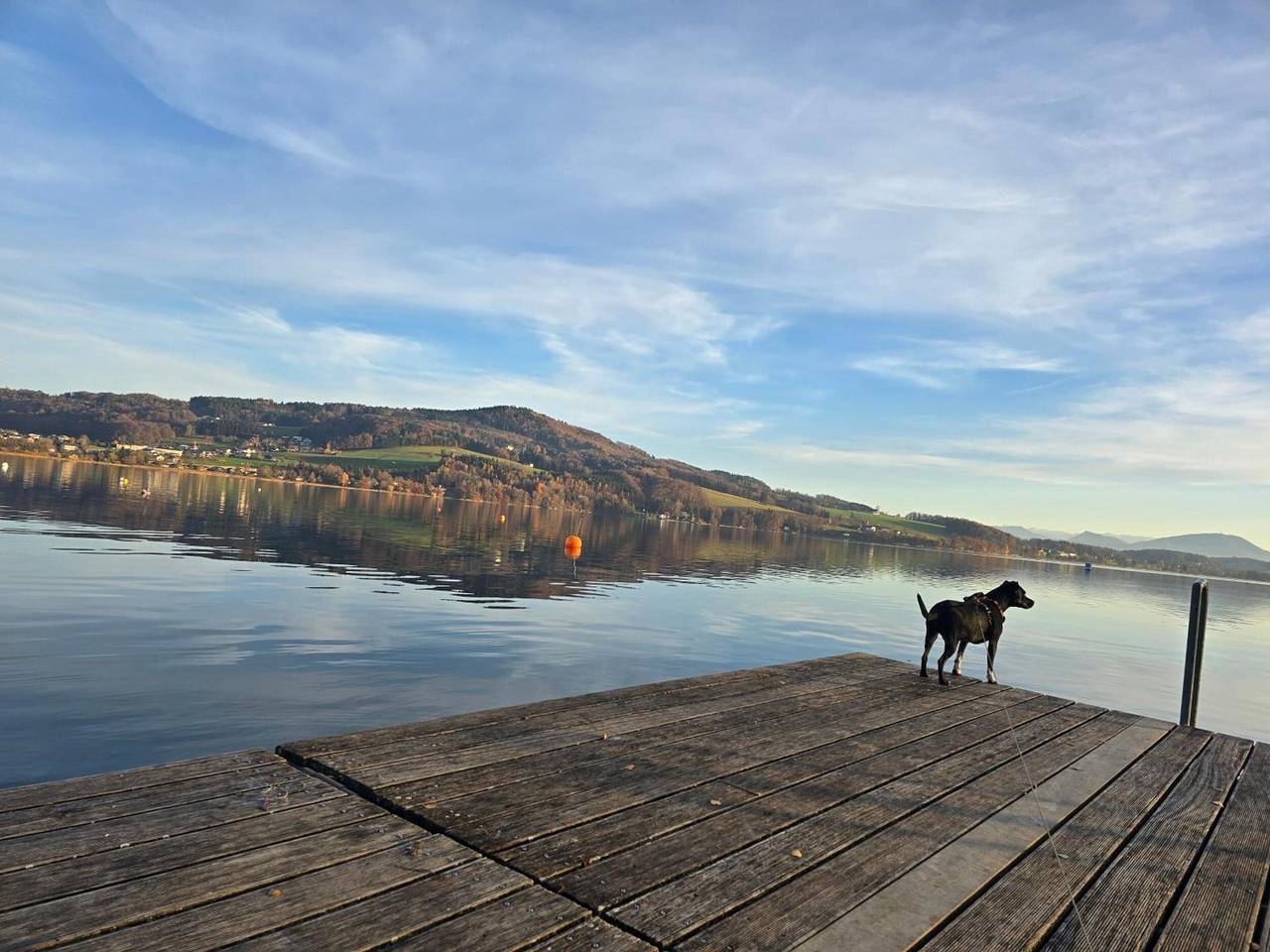 Ganze Wohnung, Ferienwohnung Lake Loft Salzburg – Privater Garten, hundefreundlich & Wlan in Seeham, Bezirk Salzburg-Umgebung
