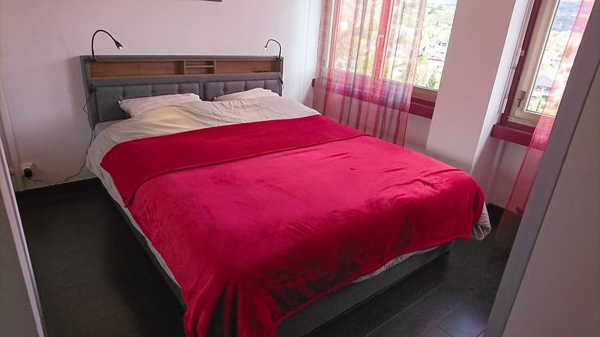 Gîte pour 4 personnes dans Grand Port (Aix-les-Bains) - 2