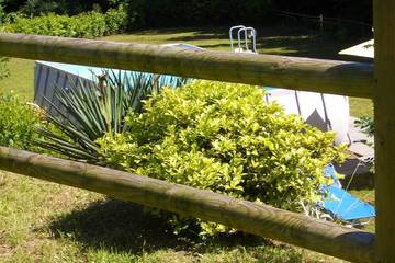 Agriturismo per 8 Persone in Camaiore (Toscana), Versilia, Foto 2