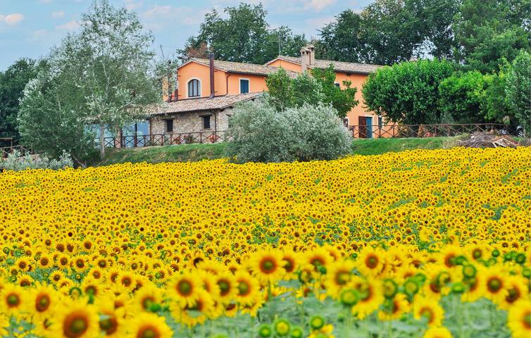 Location de vacances pour 2 personnes, avec piscine ainsi que terrasse et jardin, animaux acceptés à Gualdo Cattaneo - 2