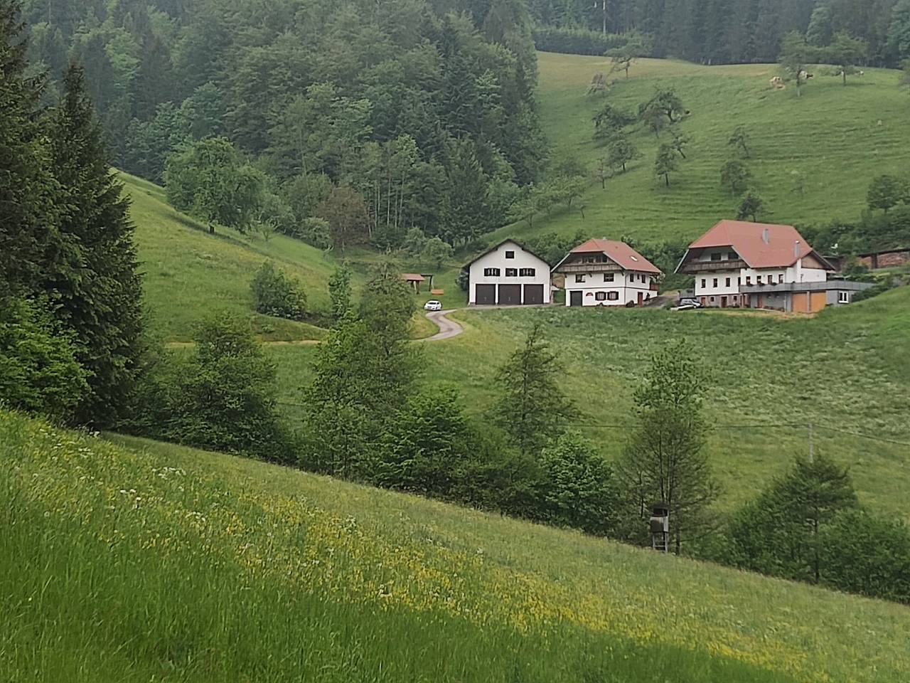 Ganze Wohnung, Apartment 'Stinneshof' mit gemeinsamer Terrasse, gemeinsamem Garten und Wlan in Oberharmersbach, Mittlerer Schwarzwald