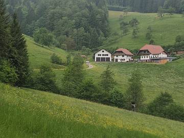 Bauernhof für 3 Personen in Oberharmersbach, Mittlerer Schwarzwald, Bild 1