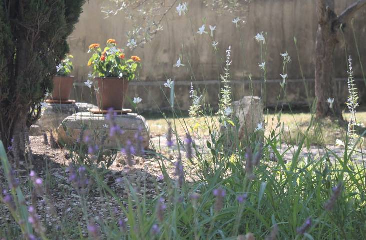 Gîte pour 2 personnes, avec jardin ainsi que terrasse et piscine au Parc naturel régional des Alpilles - 2