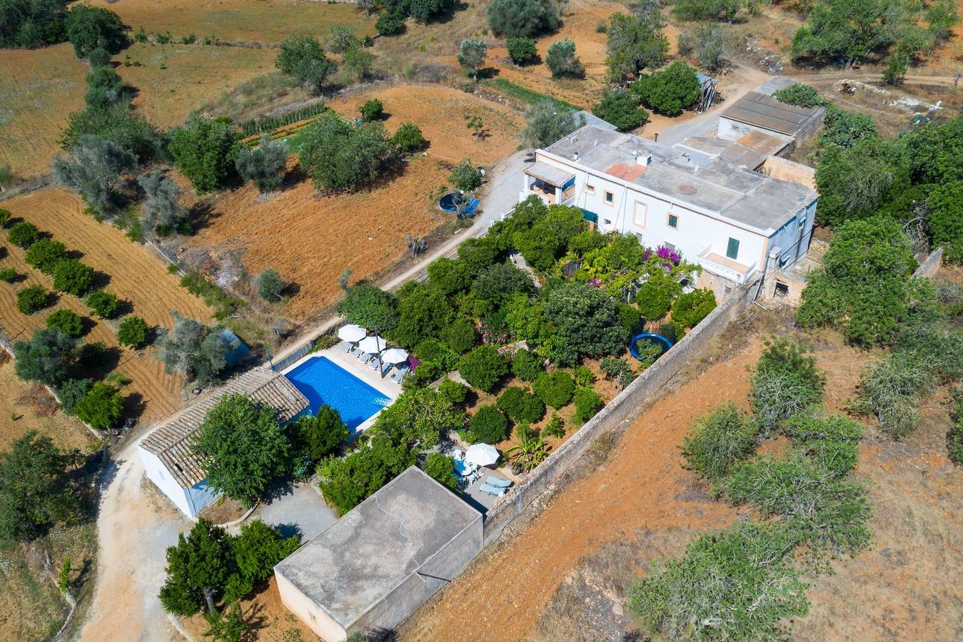 Villa for 8 personer med have in St Miquel de Balansat, Sant Joan de Labritja
