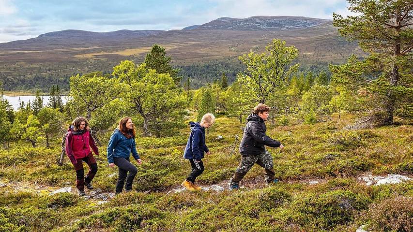 Ferienhaus für 13 Personen, mit Sauna und Balkon in Idre - 4