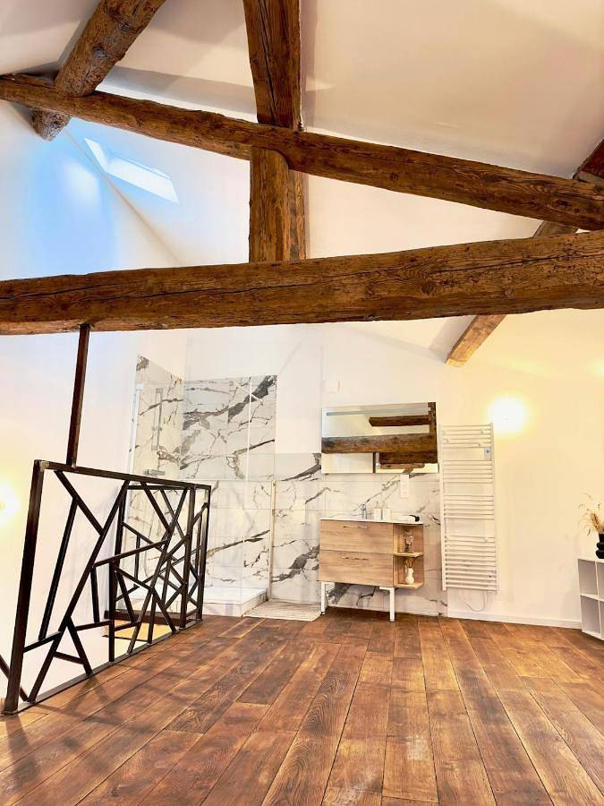 Appartement entier, Le Loft, 85m2, Hyper-centre in Mâcon, Région de Mâcon