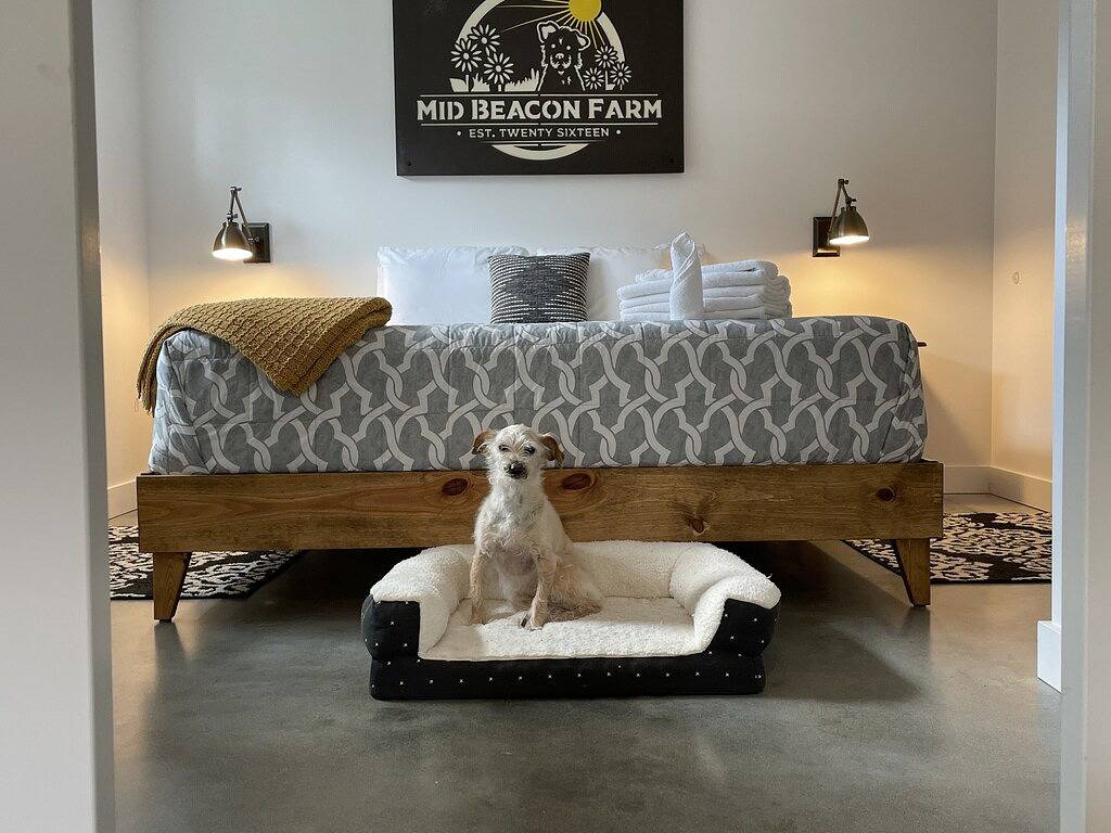 Ganze Wohnung, Gorgeous Garden Getaway, Near Cafes, Parks in Seattle, King County