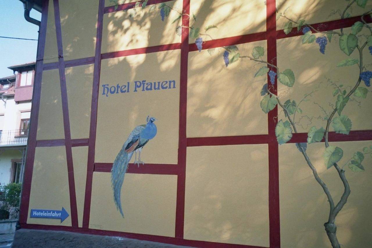Tiptop Hotel Garni Pfauen in Endingen am Kaiserstuhl, Endingen