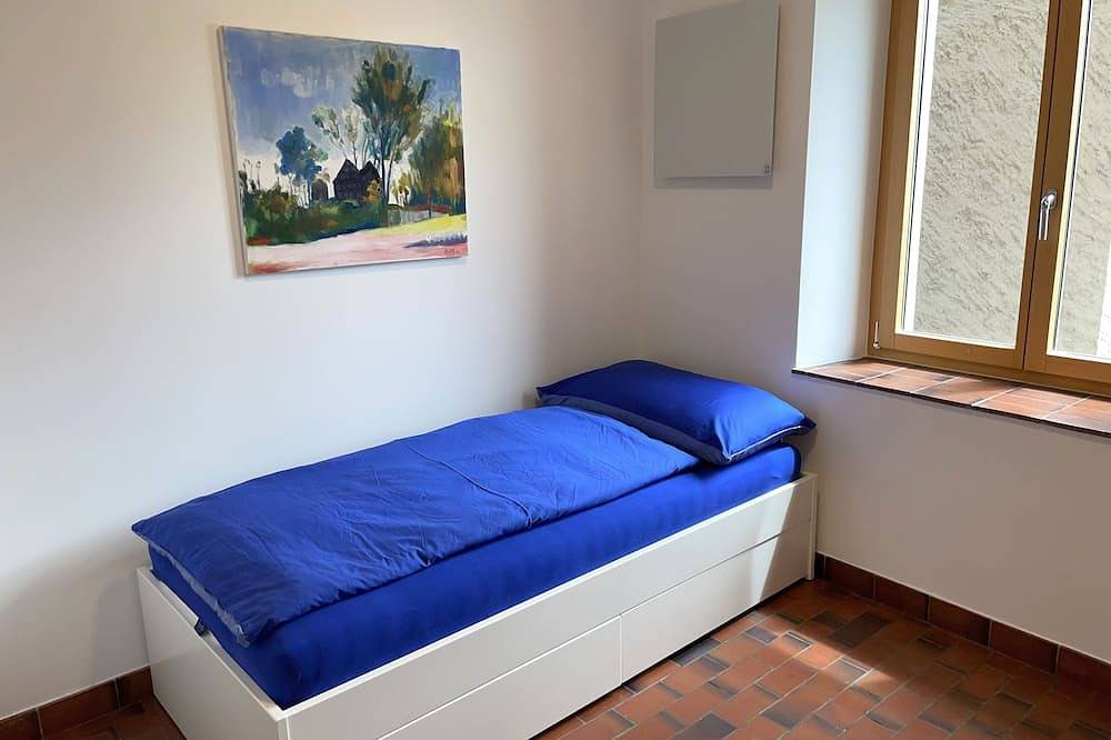 Ganze Wohnung, Ferienwohnung mit herrlicher Panoramablick und ein Badestrand direkt vor der Tür in Gambarogno, Lago Maggiore (Schweiz)