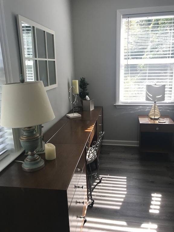 Cozy, quiet, yet close to downtown, super-fast 1G Internet in Hendersonville, Henderson County (NC)