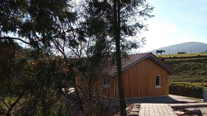 Vakantiehuis voor 4 Personen in Baiersbronn, Noordelijk Zwarte Woud, Afbeelding 4
