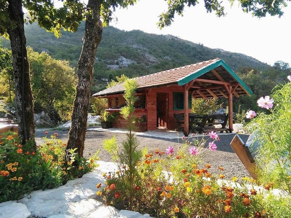 Camp Oaza, Lipa in Czarnogóra