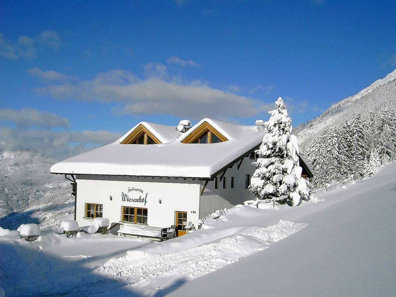 Wiesenhof - Alpenrose in Kaunergrat, Kaunertal