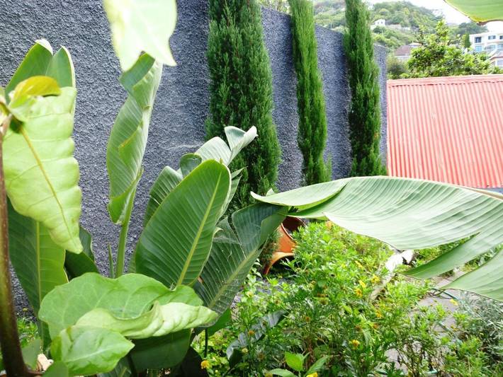 Gîte pour 4 personnes, avec vue et jardin, animaux acceptés à Porto da Cruz - 4