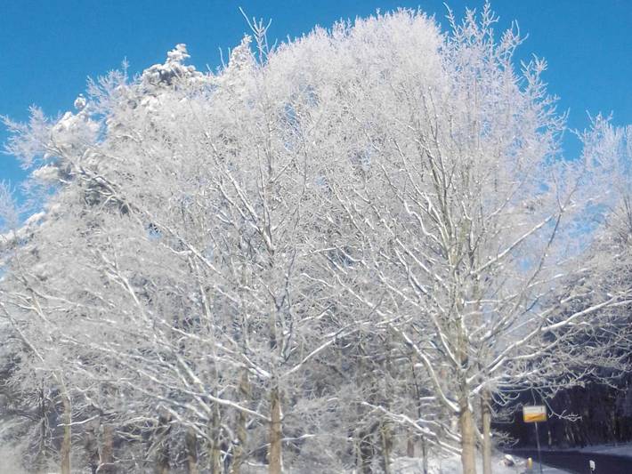 Ferienwohnung für 3 Personen, mit Garten, kinderfreundlich in der Lausitz - 4