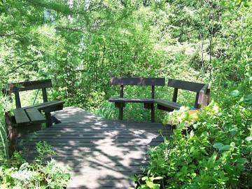 Vacation House for 6 Guests in West Glacier, Glacier National Park, Picture 2