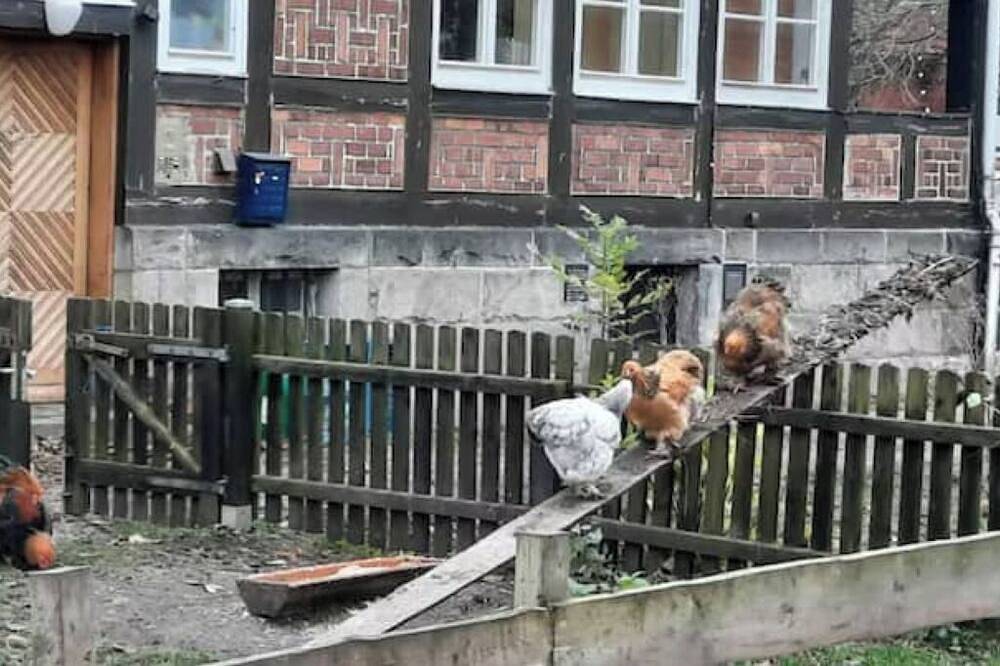 Ganze Wohnung, Goldene Wohnung auf dem Gutshof in Nordstemmen, Landkreis Hildesheim