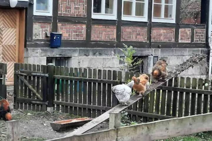 Ganze Wohnung, Goldene Wohnung auf dem Gutshof in Nordstemmen, Landkreis Hildesheim
