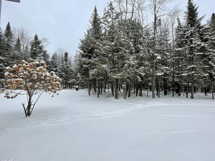 Vacation rental for 6 people, with balcony and yard in Quebec