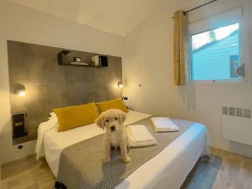 Camping para 6 Personas en Payrac, Lot, Foto 4