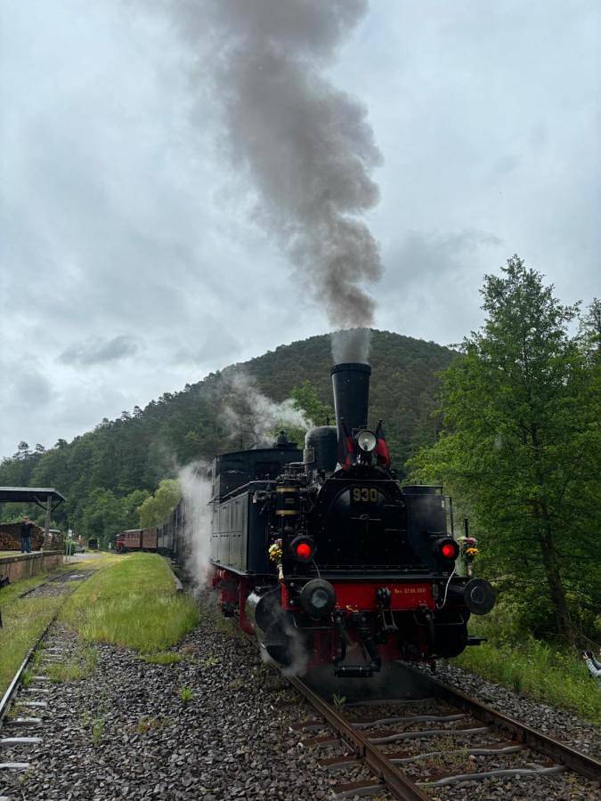 Pension Ernst im Herzen des Pfälzerwaldes mit Küche in Elmstein, Saar-Nahe-Bergland