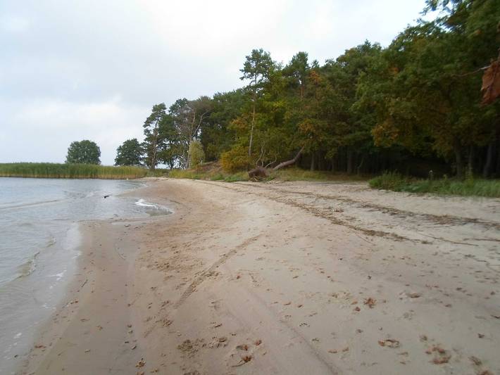 Ganze Ferienwohnung, Fh am Haff A in Altwarp Siedlung, Altwarp