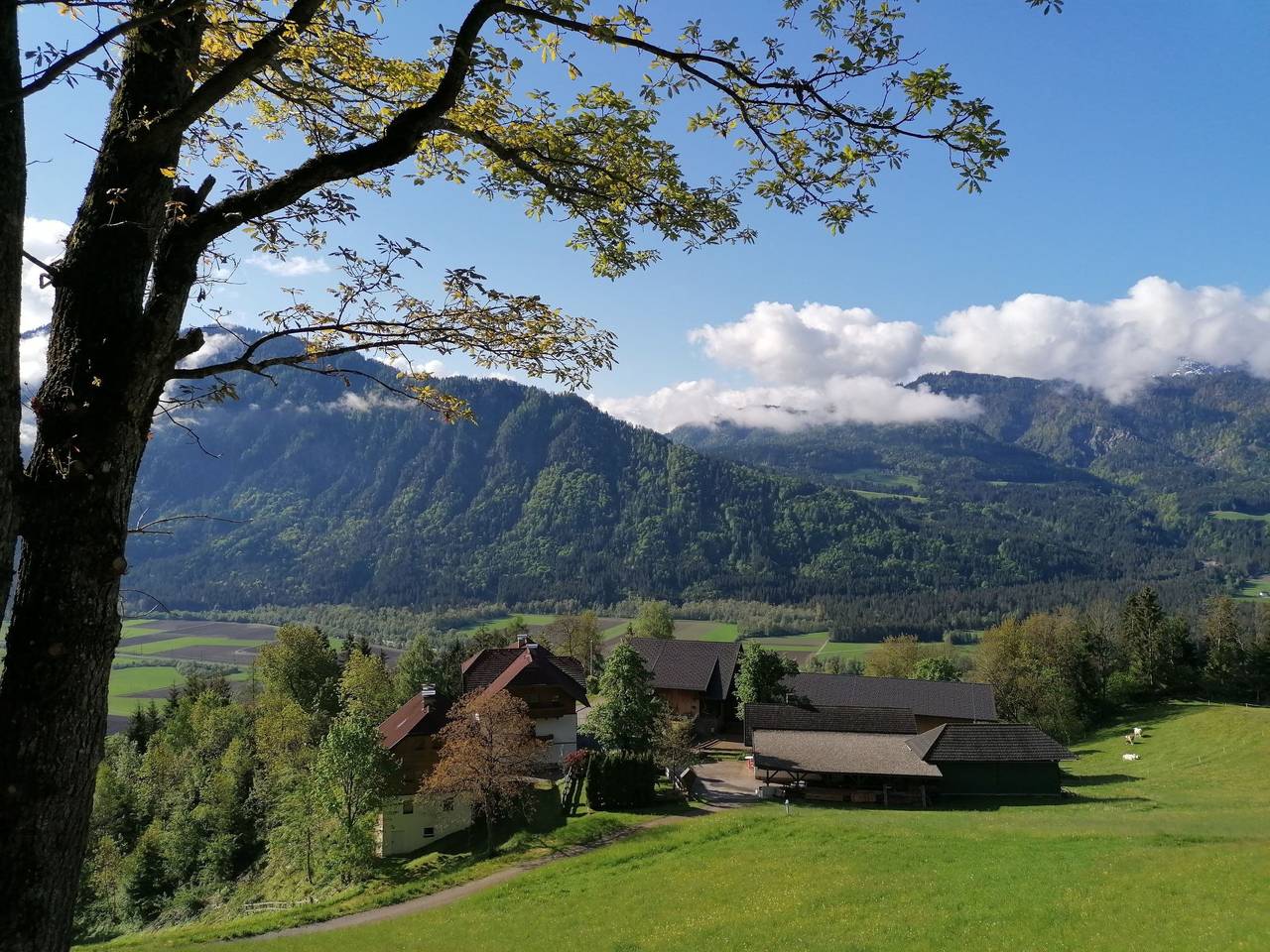 Ganze Wohnung, Waldpension Ranner in Kreuzeckgruppe, Steinfeld im Drautal