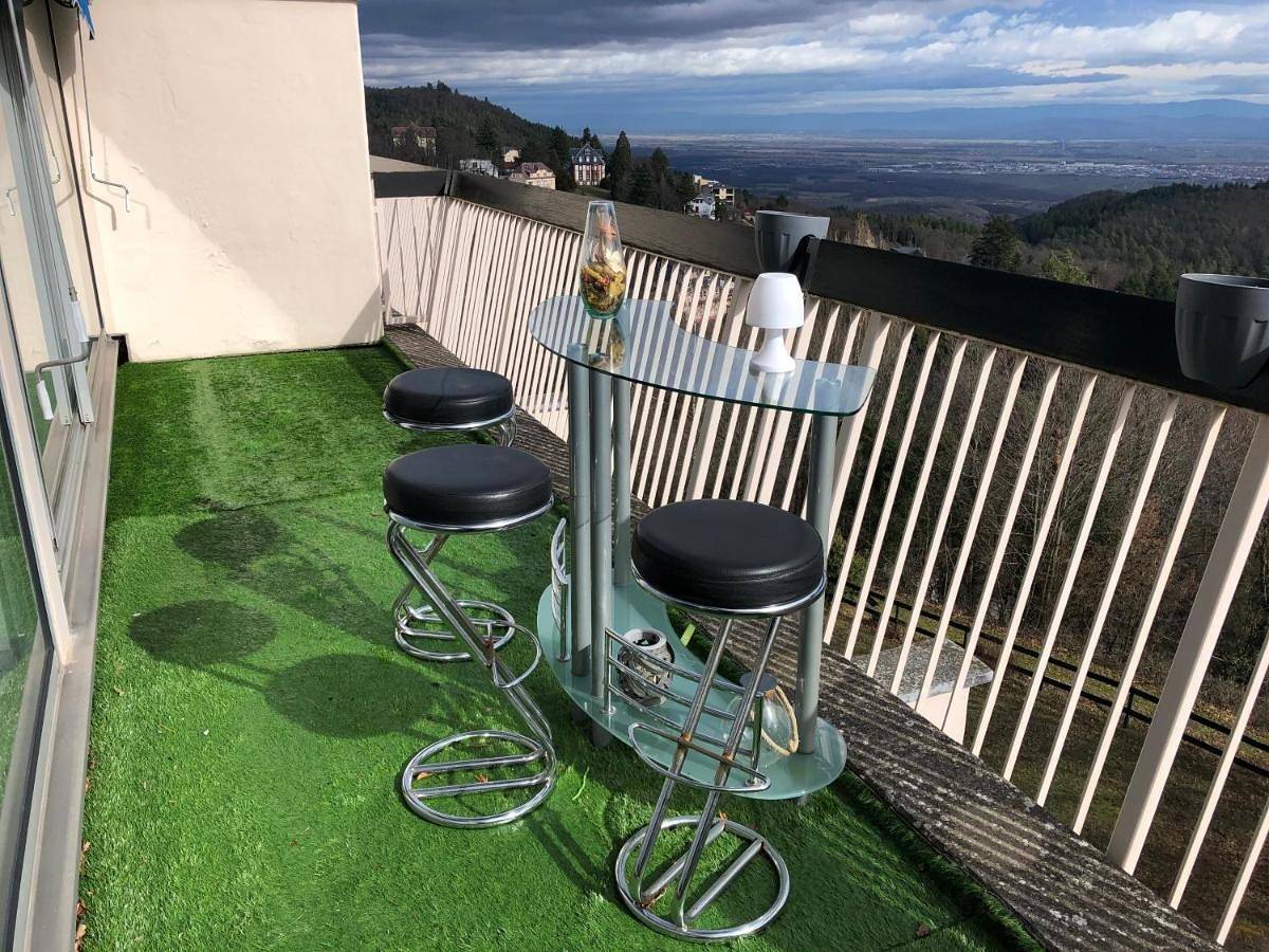 Appartement entier, One-Bedroom Apartment in Ammerschwihr, Parc naturel régional des Ballons des Vosges