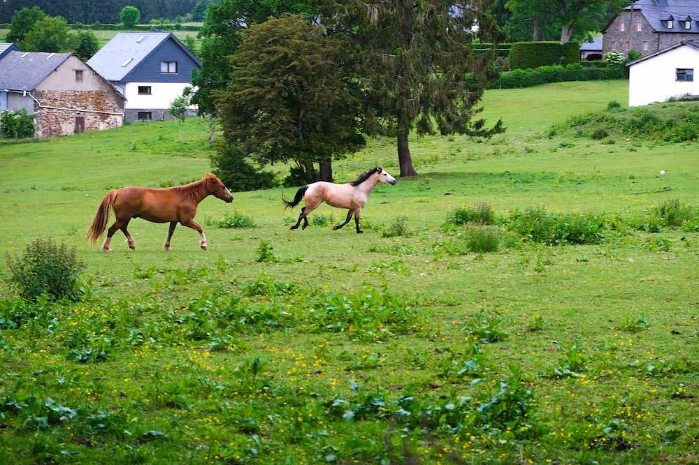 Prachtig gerenoveerde boerderij van 1872 in Büllingen, Naturpark Hohes Venn